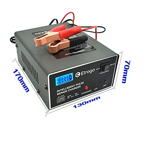 Etrogo Cargador Bateria Plomo de Coche 12V 24V 10A Intelligent de Pulso con Pantalla LED a Barra-Gris